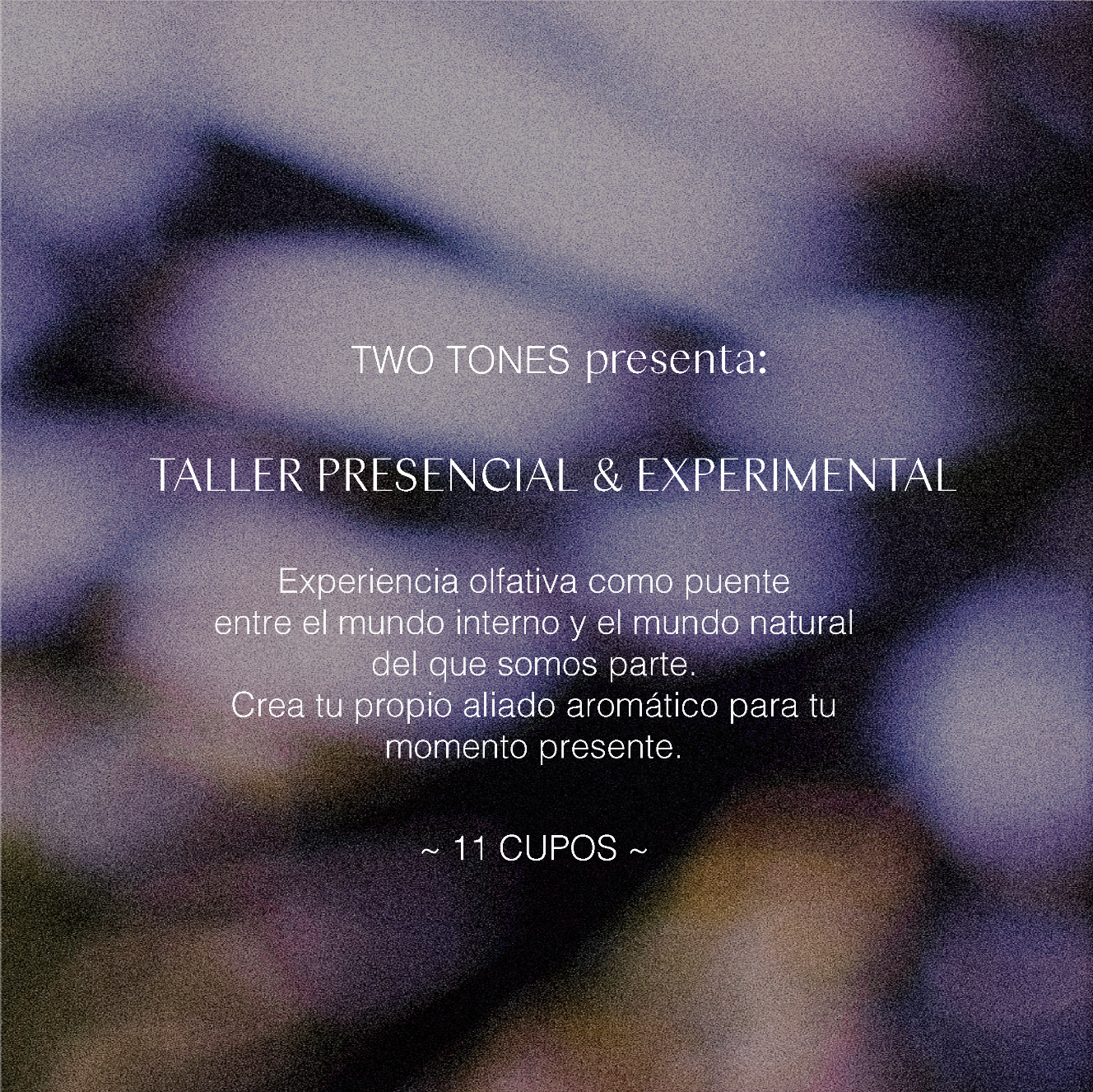 AROMAS PARA UNA ALQUIMIA INTERNA